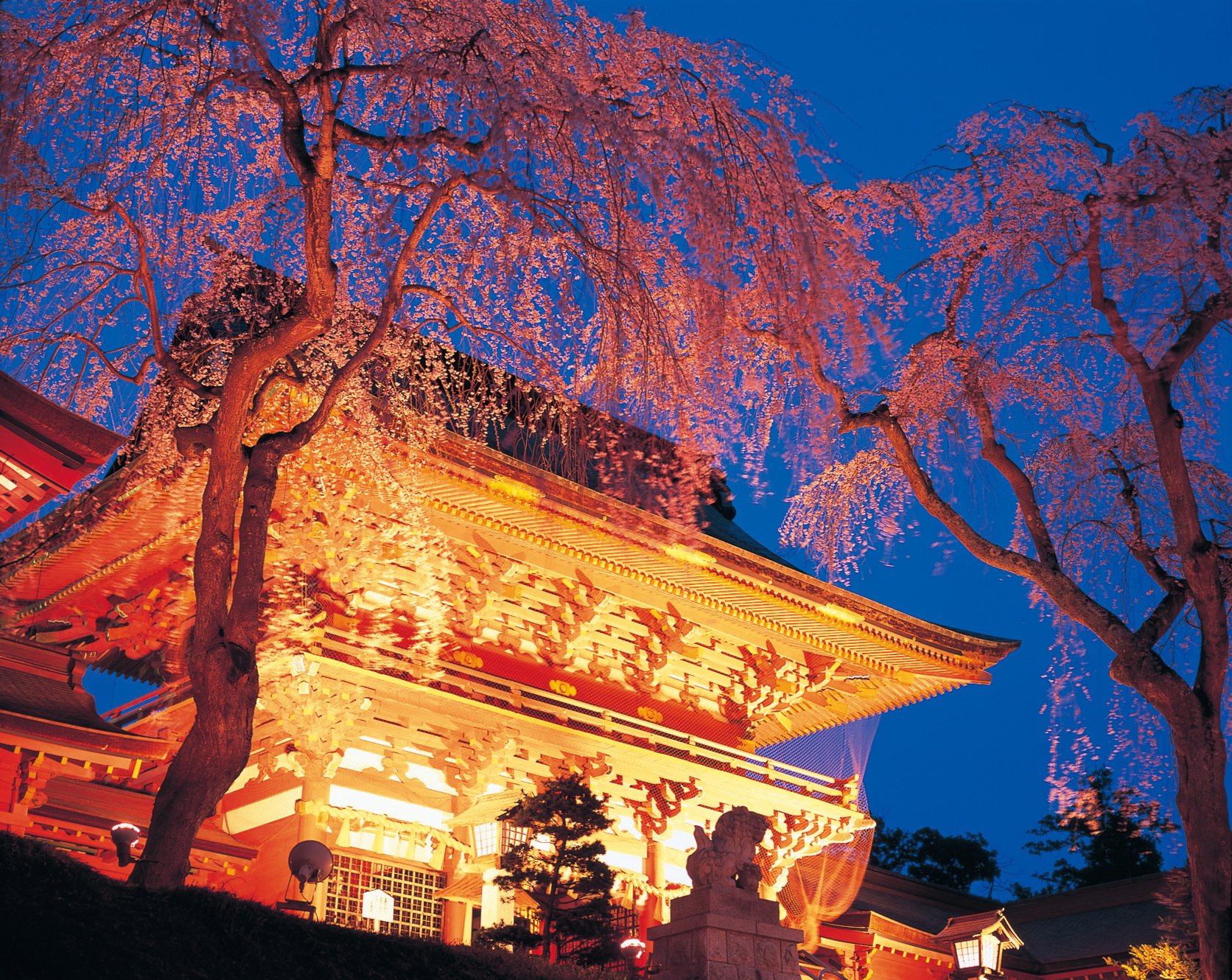 No.030020 塩竈神社の夜桜