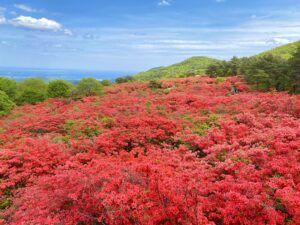 No.040062 徳仙丈山