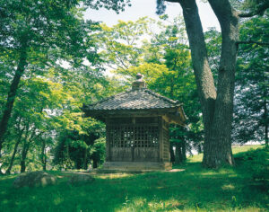 No.080017 多賀城碑（壷の碑）