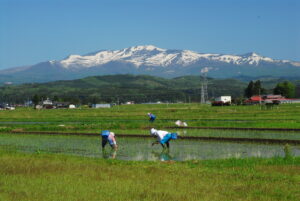 No.110001 栗駒山