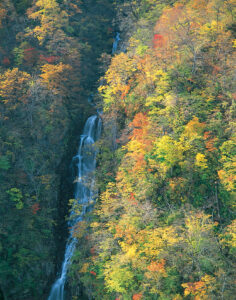 No.150113 三階滝・不動滝