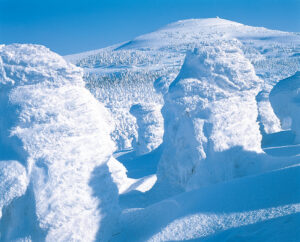 No.150114 みやぎ蔵王の樹氷