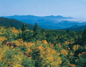 No.150116 蔵王からの遠望