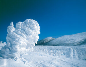 No.150120 みやぎ蔵王の樹氷