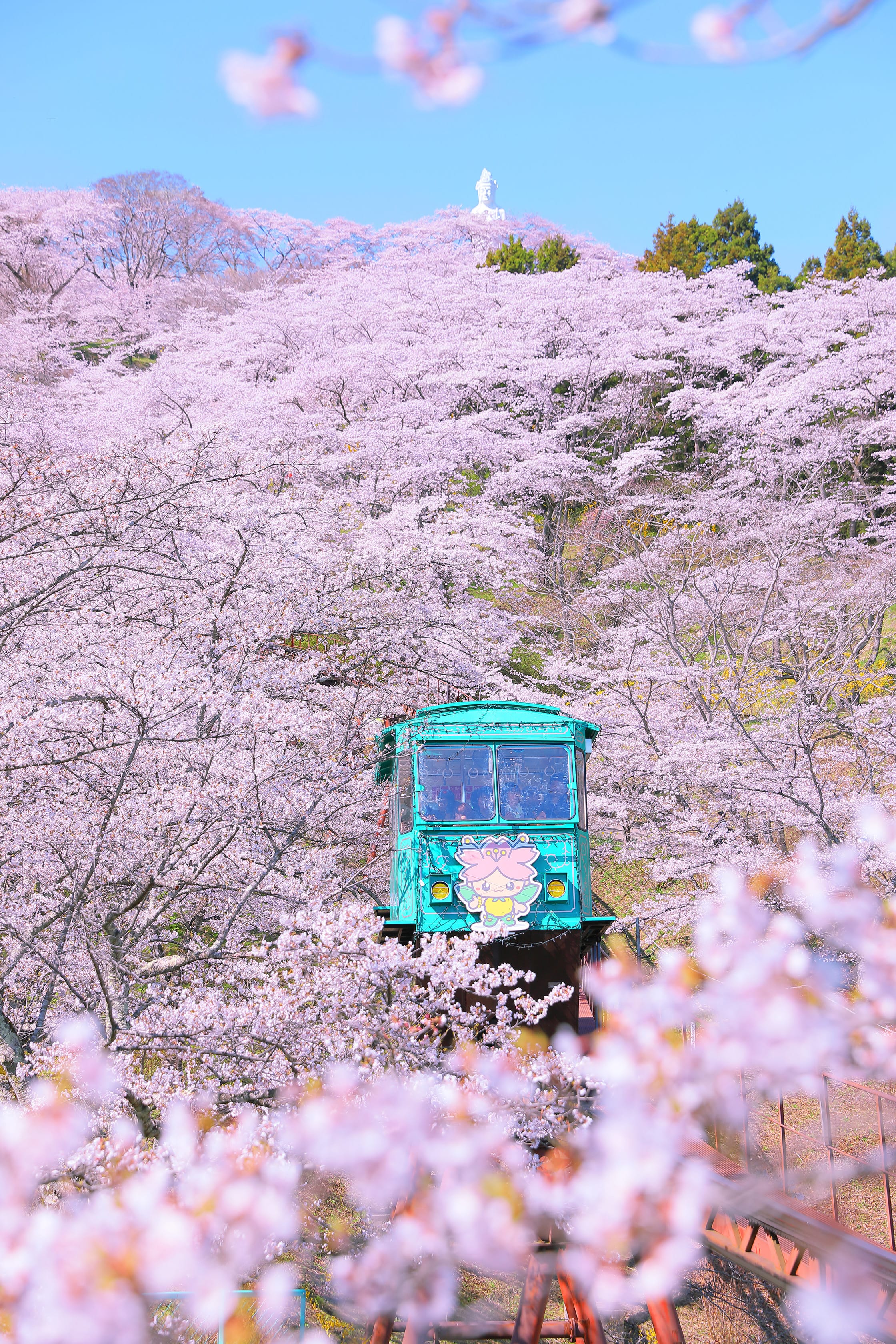 No.190022 船岡城址公園の桜