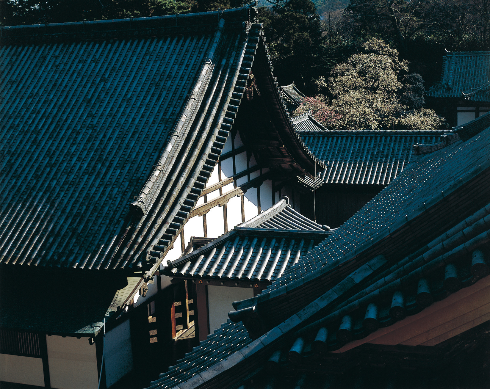No.240036 瑞巌寺