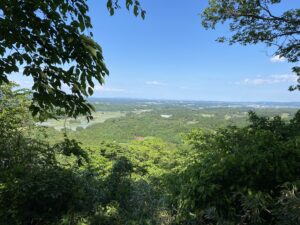 No.290005 達居森（たっこもり）