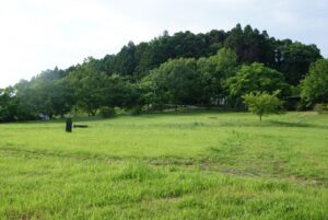 No.330003 国指定史跡山前遺跡