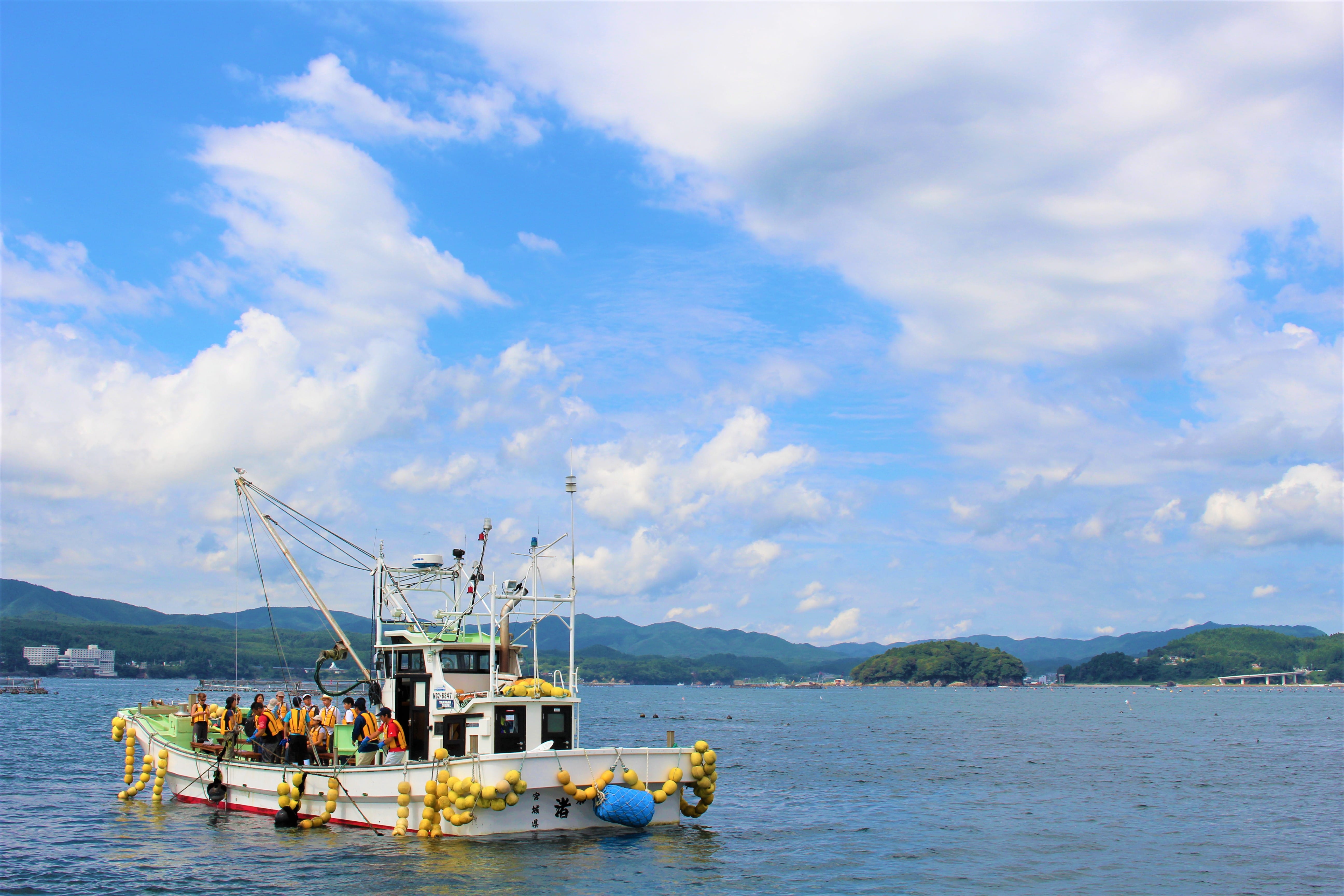 No.350010 漁業体験