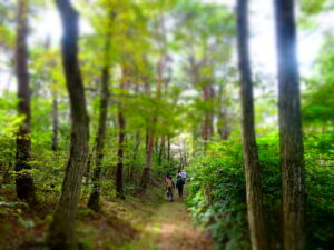 No.100112 森林セラピー基地 登米ふれあいの森