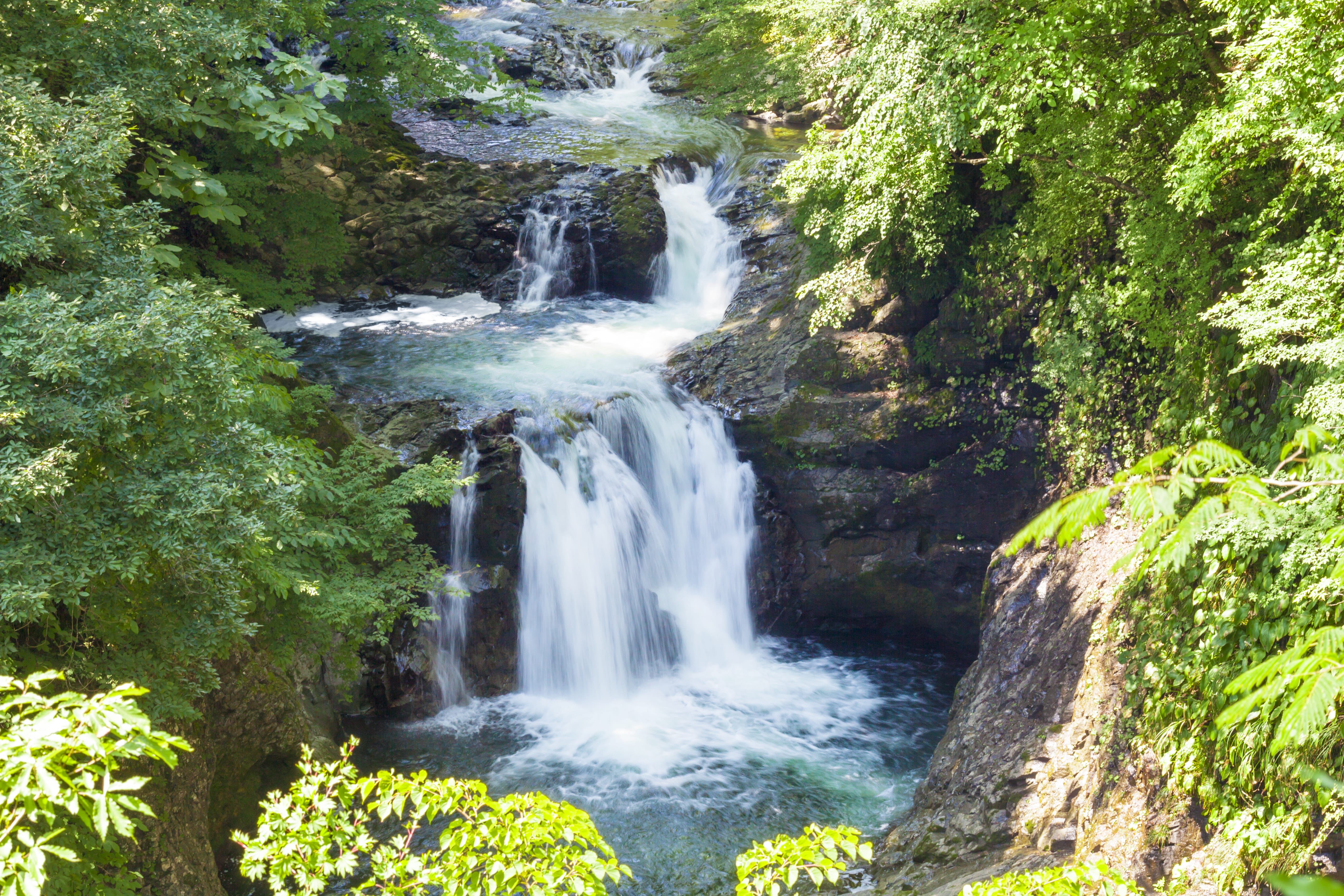 No.010509 鳳鳴四十八滝