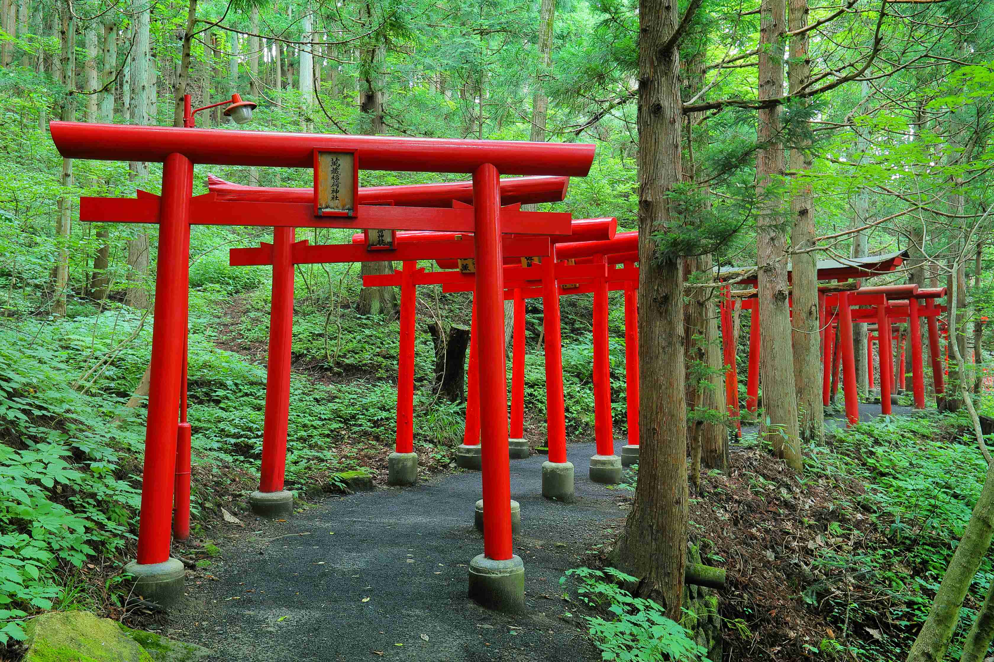 No.050073 萬蔵稲荷神社