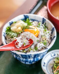 No.060041 しらす丼