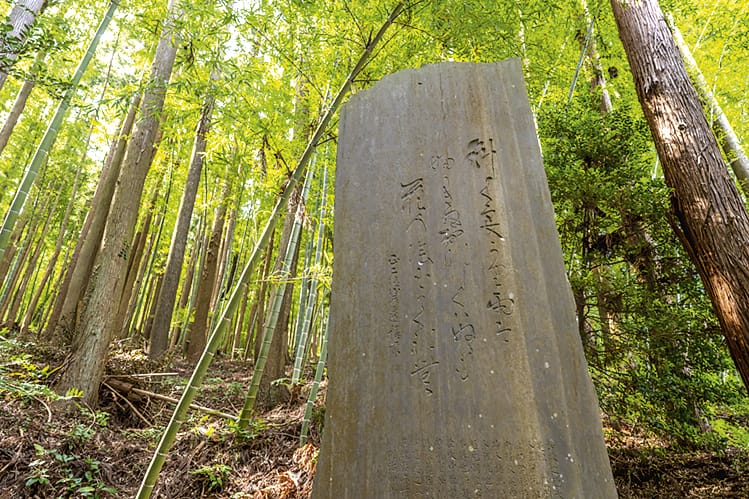 No.060045 藤原実方の墓