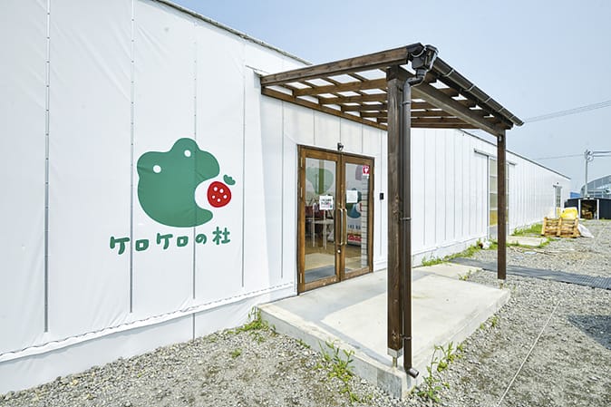 No.060049 ケロケロの杜