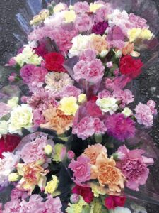 No.060056 カーネーション