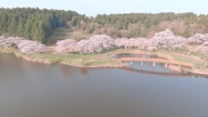 No.100106 平筒沼ふれあい公園