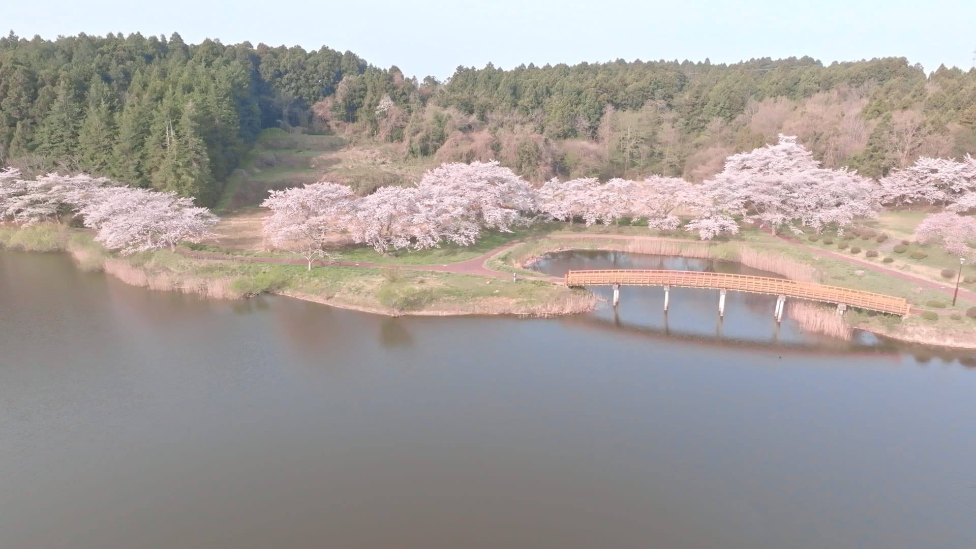 No.100106 平筒沼ふれあい公園