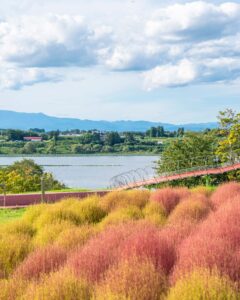 No.100107 長沼フートピア公園