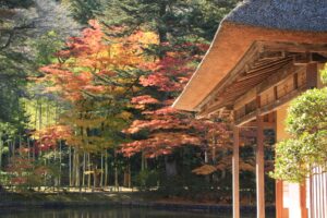 No.130123 旧有備館および庭園