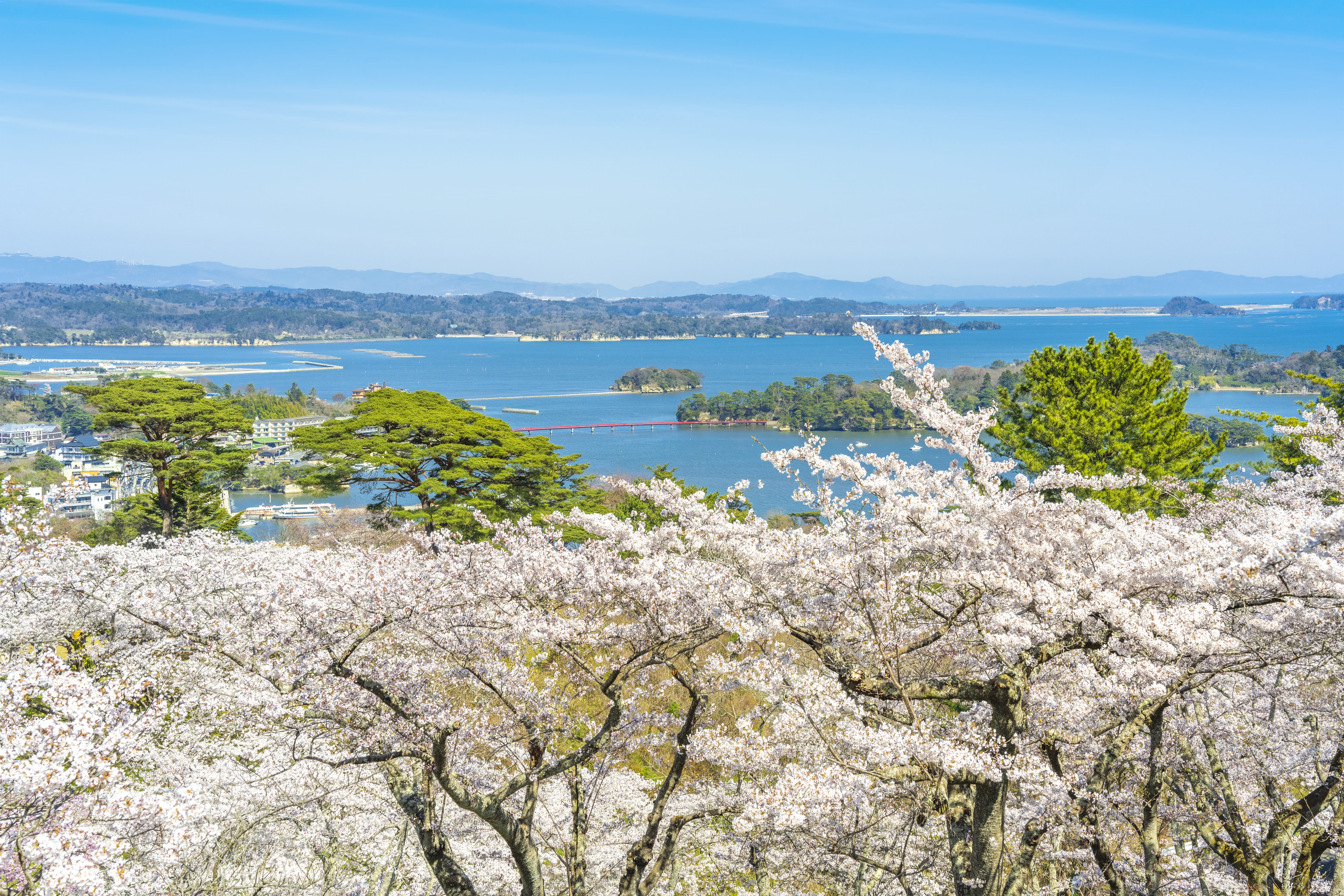 No.240108 西行戻しの松公園