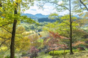No.270026 七ツ森湖畔公園