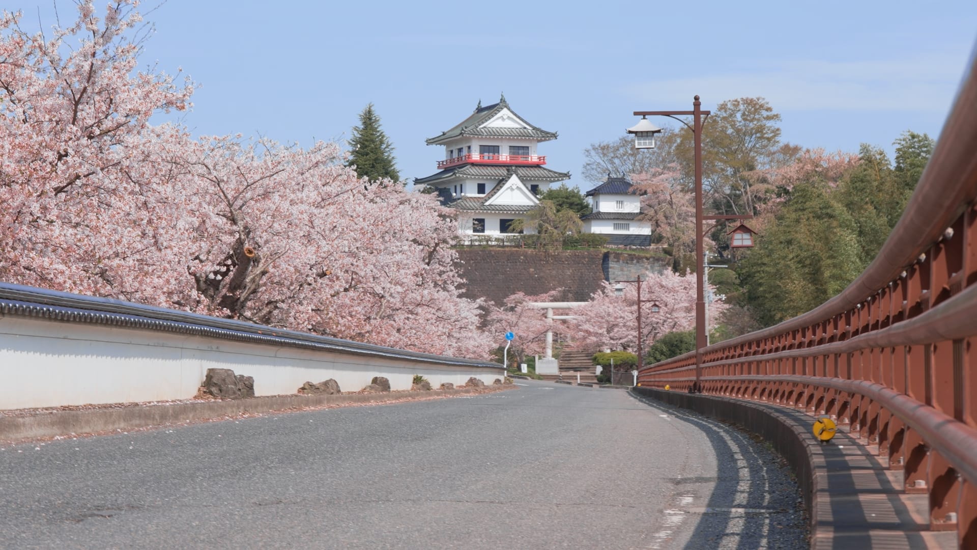 No.320030 桜と涌谷城